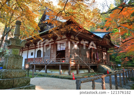 [Shiga Prefecture] The main hall of Baekje Temple on a clear day and autumn leaves 121376182