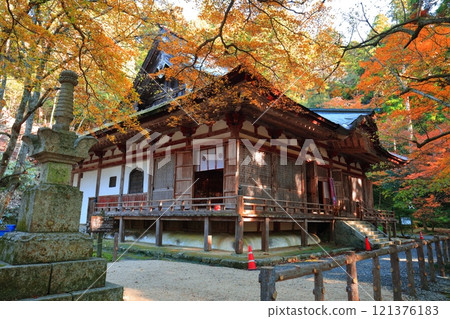 [滋賀縣]晴天的百濟寺正殿和秋葉 121376183