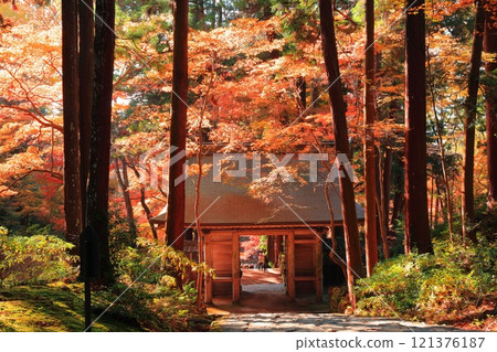 [Shiga Prefecture] Niomon Gate and autumn leaves at Baekje Temple on a clear day 121376187