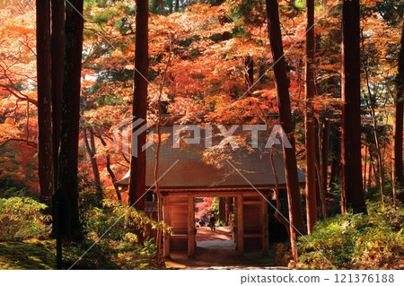 [滋賀縣]晴天時百濟寺的仁王門和秋葉 121376188