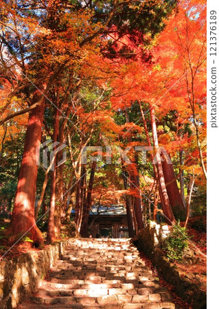 [滋賀縣]晴天時百濟寺的仁王門和秋葉 121376189