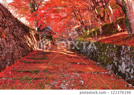 [滋賀縣]晴天的百濟寺參道和紅葉 121376198