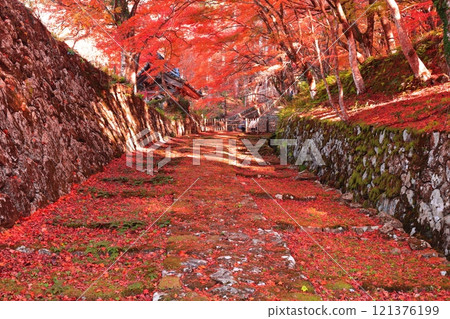 [滋賀縣]晴天的百濟寺參道和紅葉 121376199