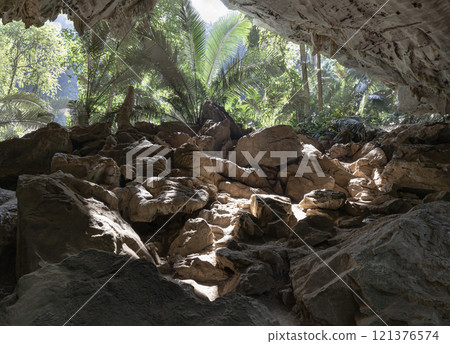 Scenic view of The green palm trees in natural light with stalactites and stalagmites inside of Cave in the foreground. 121376574
