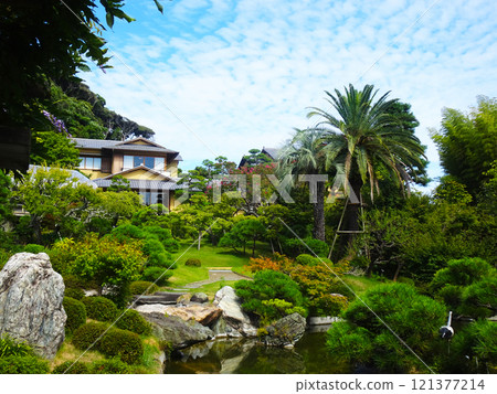 吉田茂故居的日本庭園（神奈川縣大磯町） 121377214