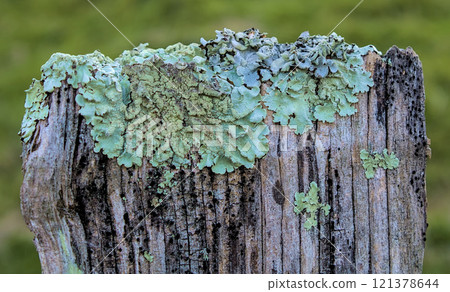 weather eroded post weather eroded post 121378644