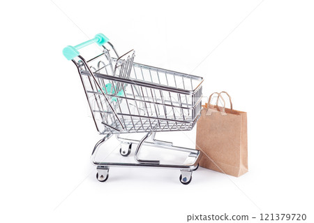 Shopping Cart and Bag with Purchases Shopping Cart and Bag with Purchases 121379720