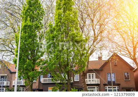 Dutch Suburban area with modern family houses, newly build modern family homes in the Netherlands, dutch family houses, and apartment houses. In the Netherlands, newly build streets with modern house 121379809