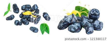 Fresh honeysuckle blue berry isolated on white background with full depth of field. Top view. Flat lay. 121380117