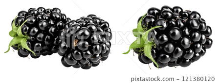 blackberry isolated on a white background closeup. 121380120