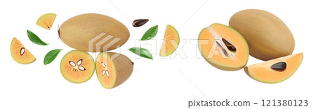 Sapodilla isolated on white background with full depth of field. Top view. Flat lay 121380123