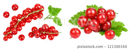 Red currant berries isolated on white background. Top view. Flat lay Red currant berries isolated on white background. Top view. Flat lay 121380168