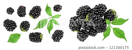 blackberry with leaf isolated on a white background. Top view. Flat lay blackberry with leaf isolated on a white background. Top view. Flat lay 121380175