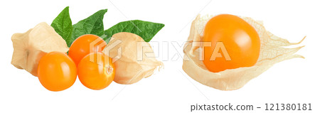 Cape gooseberry or physalis isolated on white background wit full depth of field 121380181