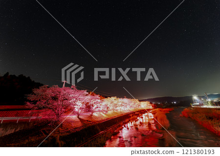 Spring starry sky: illuminated cherry blossoms 121380193