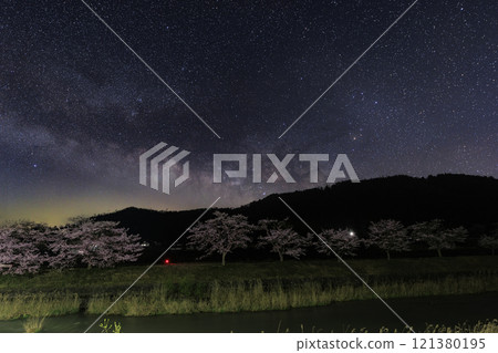 山村春天的星空，一排排櫻花樹上升起的銀河 121380195