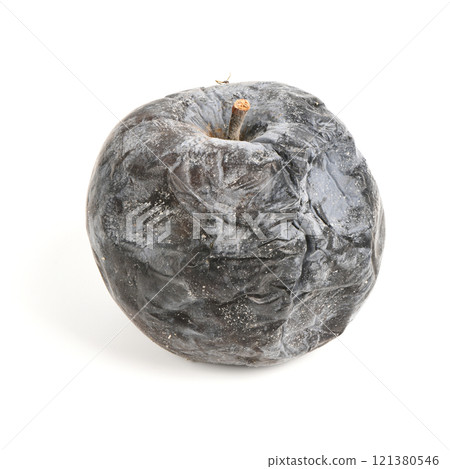 Mummified rotten apple. Rotten apples on white. Spoiled apple crop. Mummified rotten apple. Rotten apples on white. Spoiled apple crop. 121380546