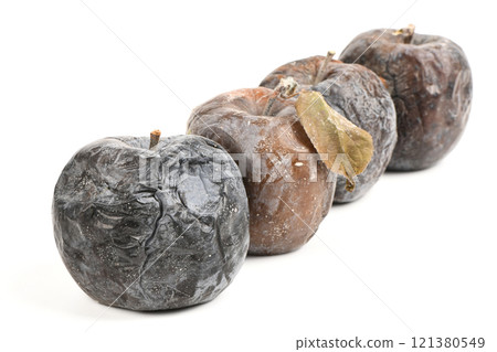 Mummified rotten apples. Rotten apples on white. Spoiled apples crop. Mummified rotten apples. Rotten apples on white. Spoiled apples crop. 121380549