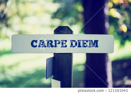Carpe Diem 121381043