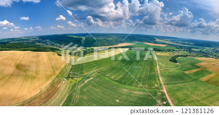 Aerial landscape view of green and yellow cultivated agricultural fields with growing crops on bright summer day Aerial landscape view of green and yellow cultivated agricultural fields with growing crops on bright summer day 121381126