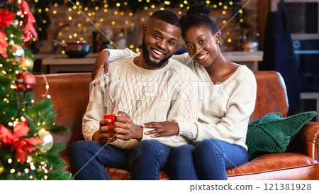 Xmas spirit. Portrait of happy african american couple enjoying Christmas eve at home, embracing and smiling at camera. Xmas spirit. Portrait of happy african american couple enjoying Christmas eve at home, embracing and smiling at camera. 121381928