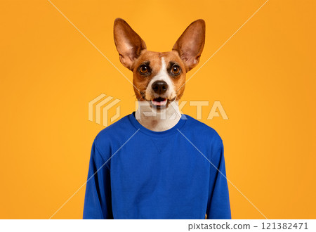 A brown and white dog with large ears is wearing a blue sweatshirt and is looking directly at the camera with its tongue sticking out. The dog is standing in front of a solid yellow background. 121382471