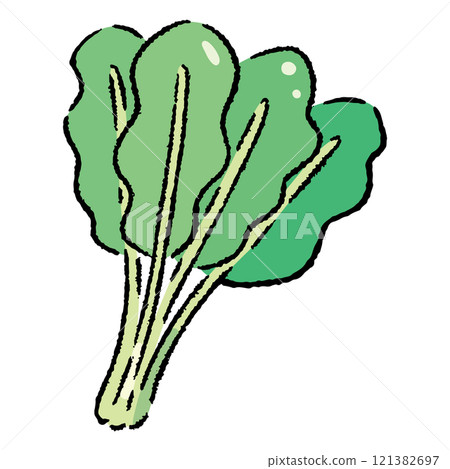 手繪菠菜插畫2 手繪菠菜插畫2 121382697