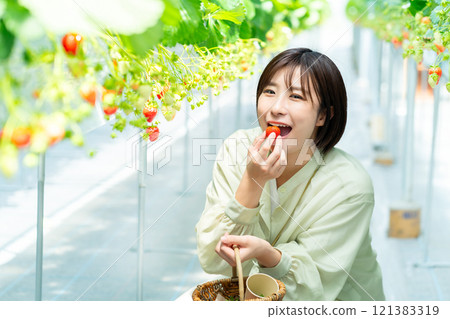 一個女人在摘草莓 一個女人在摘草莓 121383319
