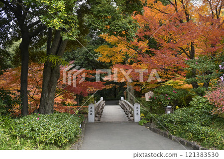 Autumn leaves Tokugawaen 121383530