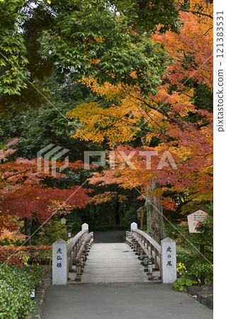 秋葉德川 121383531