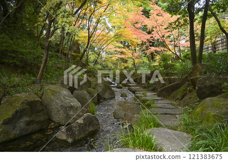 Tokugawa Garden in late autumn Tokugawa Garden in late autumn 121383675