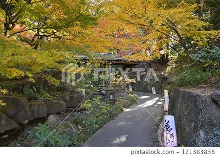 Autumn leaves Tokugawaen 121383838