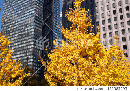 Shinjuku's skyscrapers and autumn-colored street trees Shinjuku's skyscrapers and autumn-colored street trees 121383995
