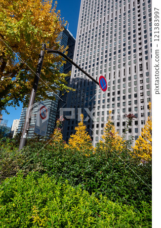 新宿的摩天大樓和秋葉的行道樹風景 新宿的摩天大樓和秋葉的行道樹風景 121383997