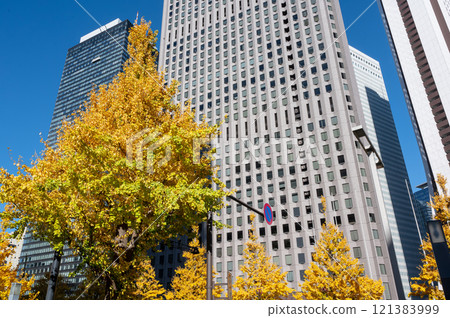 Shinjuku's skyscrapers and autumn-colored street trees 121383999
