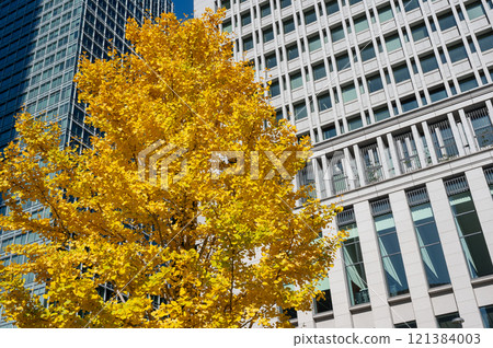 Shinjuku's skyscrapers and autumn-colored street trees 121384003