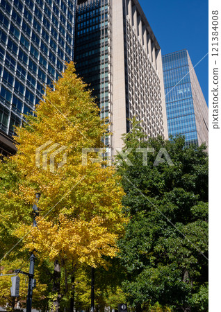 Scenery of buildings in Marunouchi and roadside trees with autumn leaves 121384008