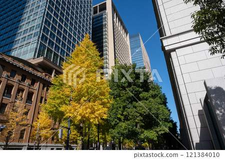Scenery of buildings in Marunouchi and roadside trees with autumn leaves 121384010