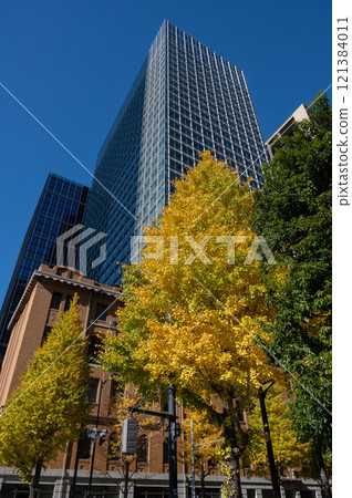 Scenery of buildings in Marunouchi and roadside trees with autumn leaves Scenery of buildings in Marunouchi and roadside trees with autumn leaves 121384011
