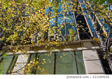 Scenery of buildings in Marunouchi and roadside trees with autumn leaves Scenery of buildings in Marunouchi and roadside trees with autumn leaves 121384026