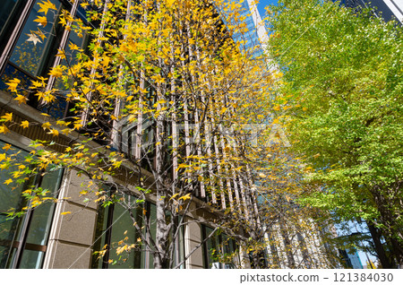 丸之內的建築物和紅葉的行道樹風景 121384030