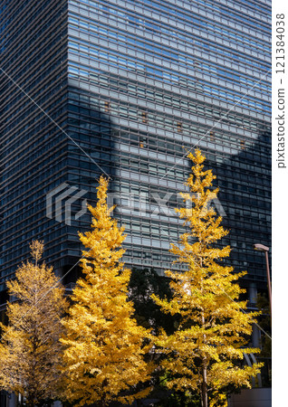 丸之內的建築物和紅葉的行道樹風景 丸之內的建築物和紅葉的行道樹風景 121384038