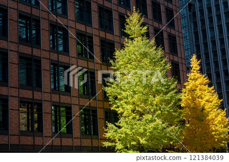 丸之內的建築物和紅葉的行道樹風景 121384039