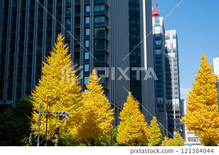 丸之內的建築物和紅葉的行道樹風景 丸之內的建築物和紅葉的行道樹風景 121384044