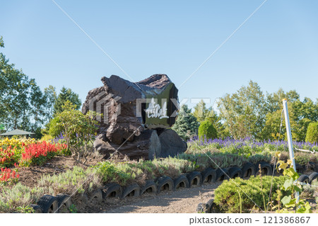 [Autumn flower scenery from Zerbu Hill, Biei Town] 121386867