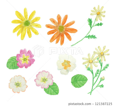 寫實的冬季花卉水彩畫 121387225