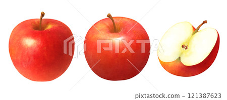 Hand-drawn watercolor illustration set of red apples_Apples cut in half_Fresh fruit 121387623