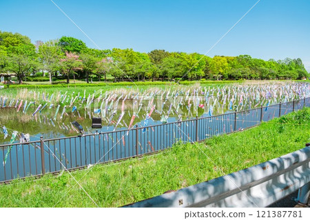 鶴田川的鯉魚旗 鶴田川的鯉魚旗 121387781