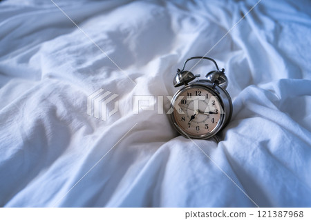 A collection of studio portraits A collection of studio portraits 121387968