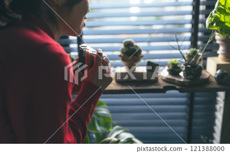 A collection of studio portraits A collection of studio portraits 121388000